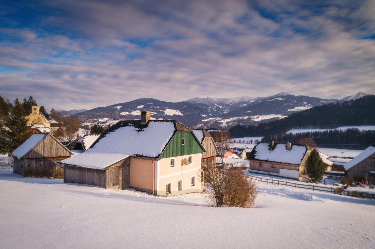 Ferienhaus Schwoellerbauer Sankt Martin am Grimming Kültér fotó